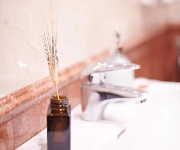 La Calma, Plaza De La Inmaculada, En El Centro De * Leão